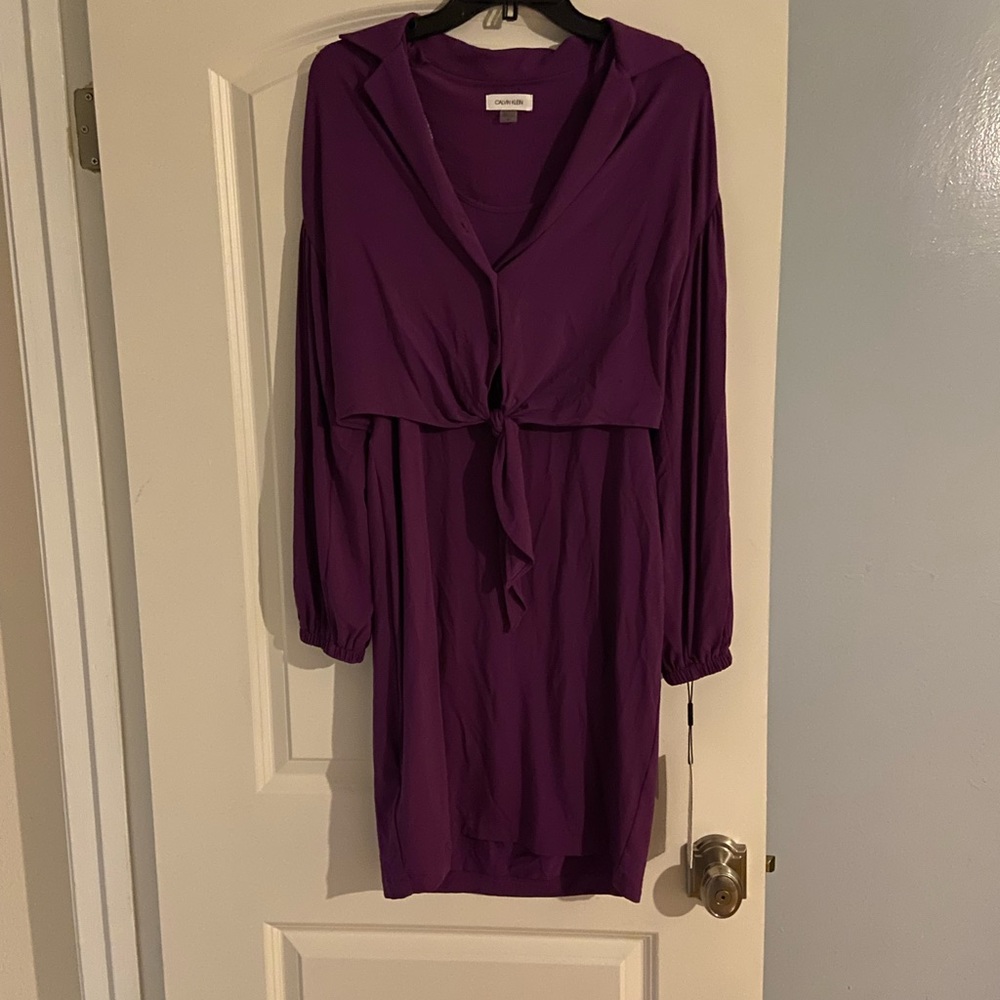 COPY - Calvin Klein Dress - Picture 3 of 6